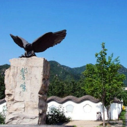 鹫峰森林公园网红打卡.租车指南